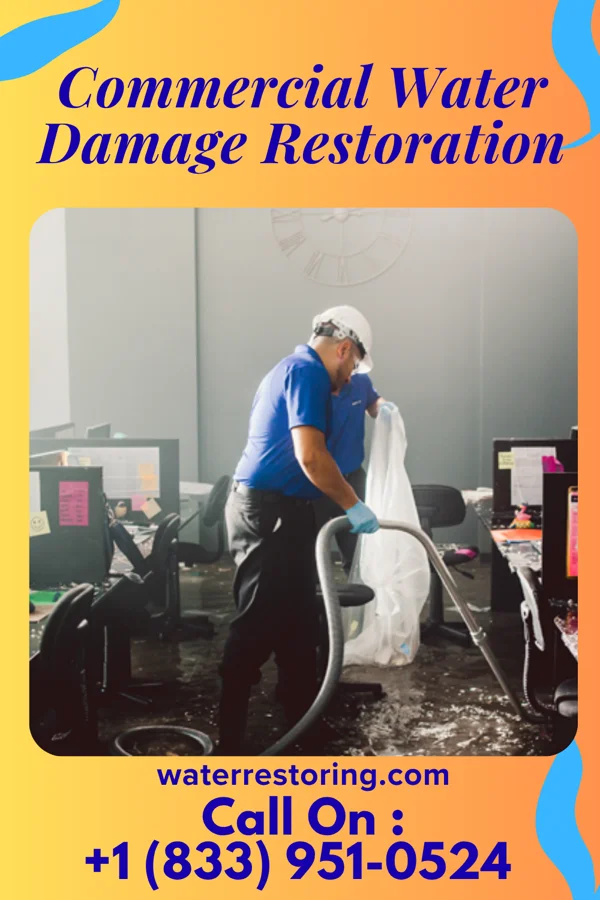 Commercial Water Damage Restoration in Ferdinand, IN