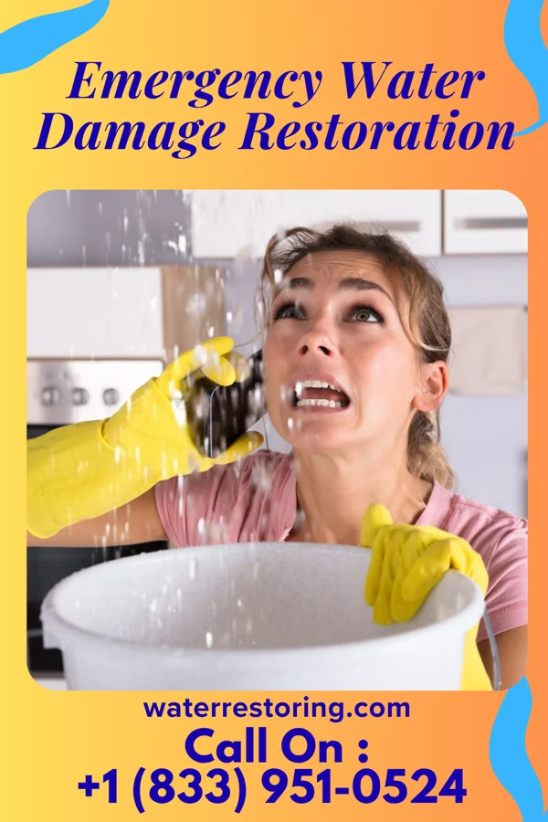 Emergency Water Damage Restoration in Ferdinand, IN
