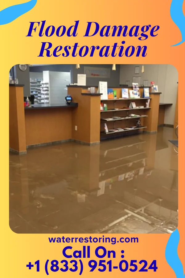 Flood Damage Restoration in Ferdinand, IN