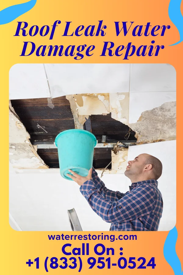 Roof Leak Water Damage Repair in Ferdinand, IN